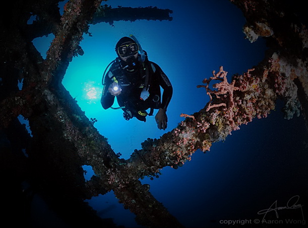 Divers and Critters - Anilao Diving Underwater Photography,Anilao Batangas.